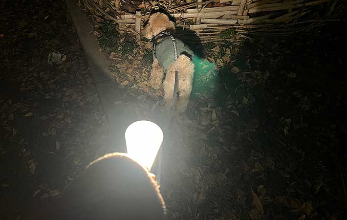 無印良品『LED懐中電灯』犬の散歩にも重宝