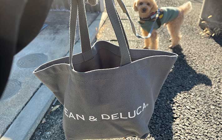 『DEAN & DELUCA』トートバッグを持って犬を散歩する様子