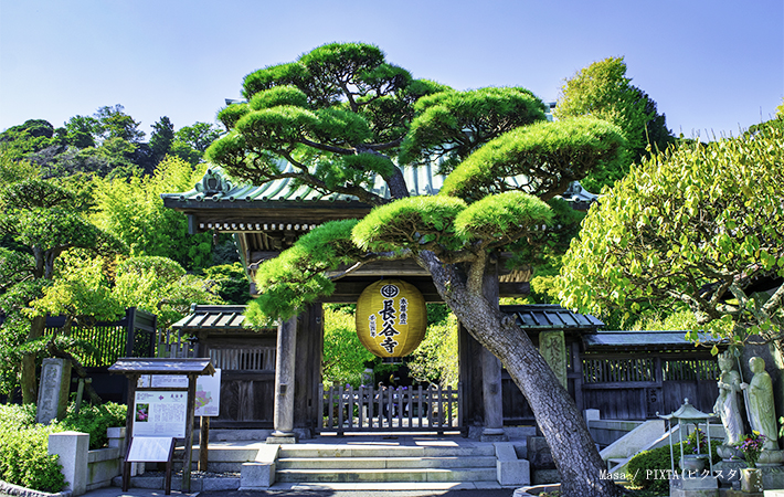 長谷寺のイメージ画像