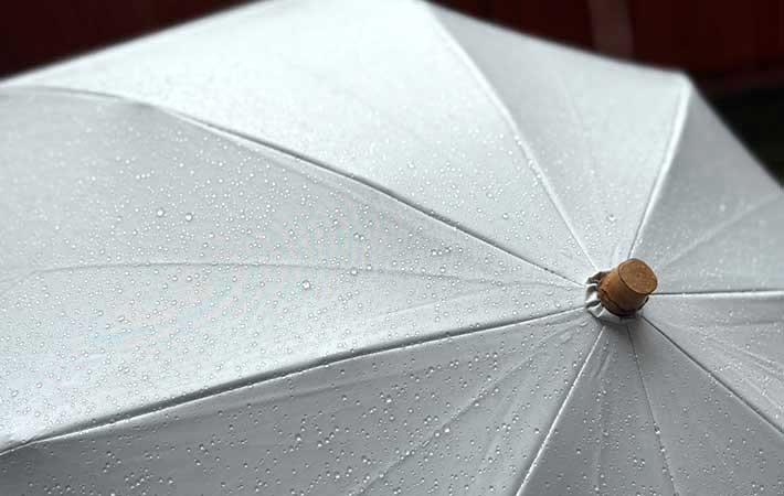 雨に濡れる『UVO』