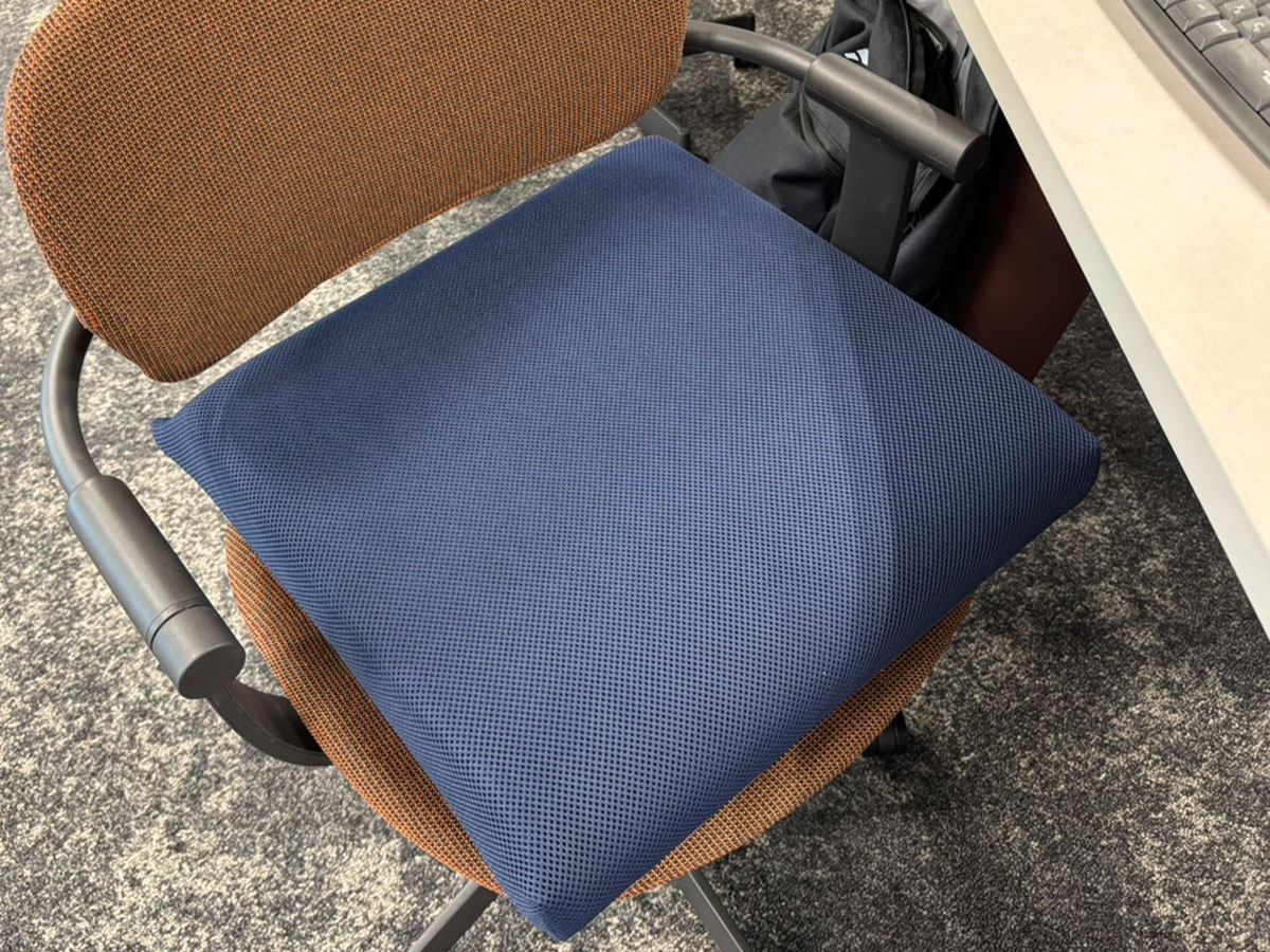 SOPHIA武道館Eternalシート マニフレックスクッション SOPHIA武道館Eternalシート マニフレックスクッション