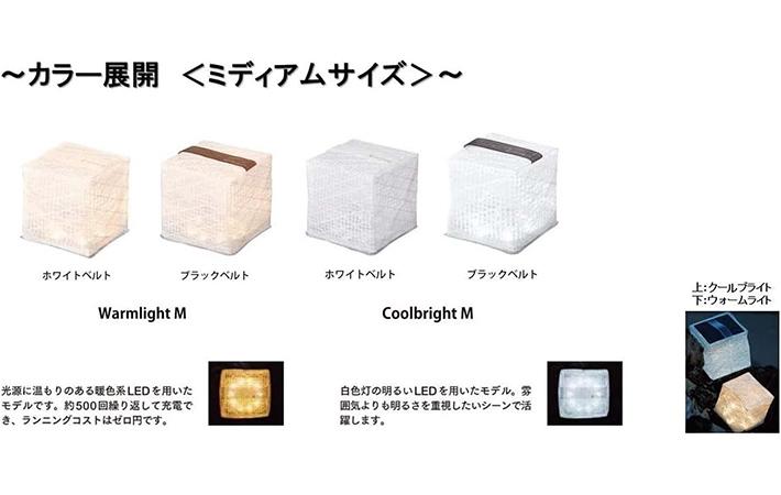 キャリーザサンの画像
