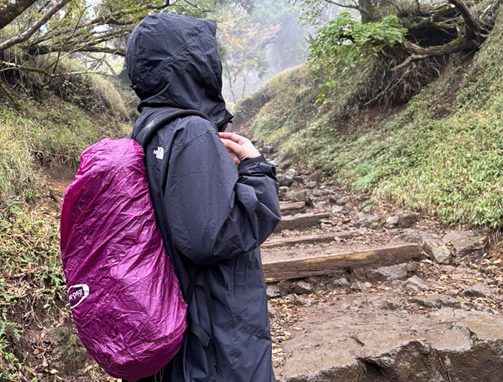 ノースフェイスの画像