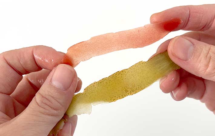 トマトとキウイの皮