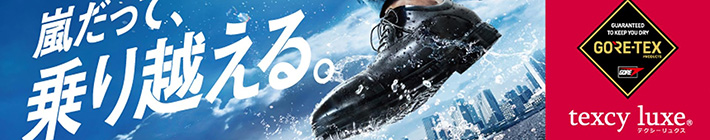 テクシーリュクスの画像